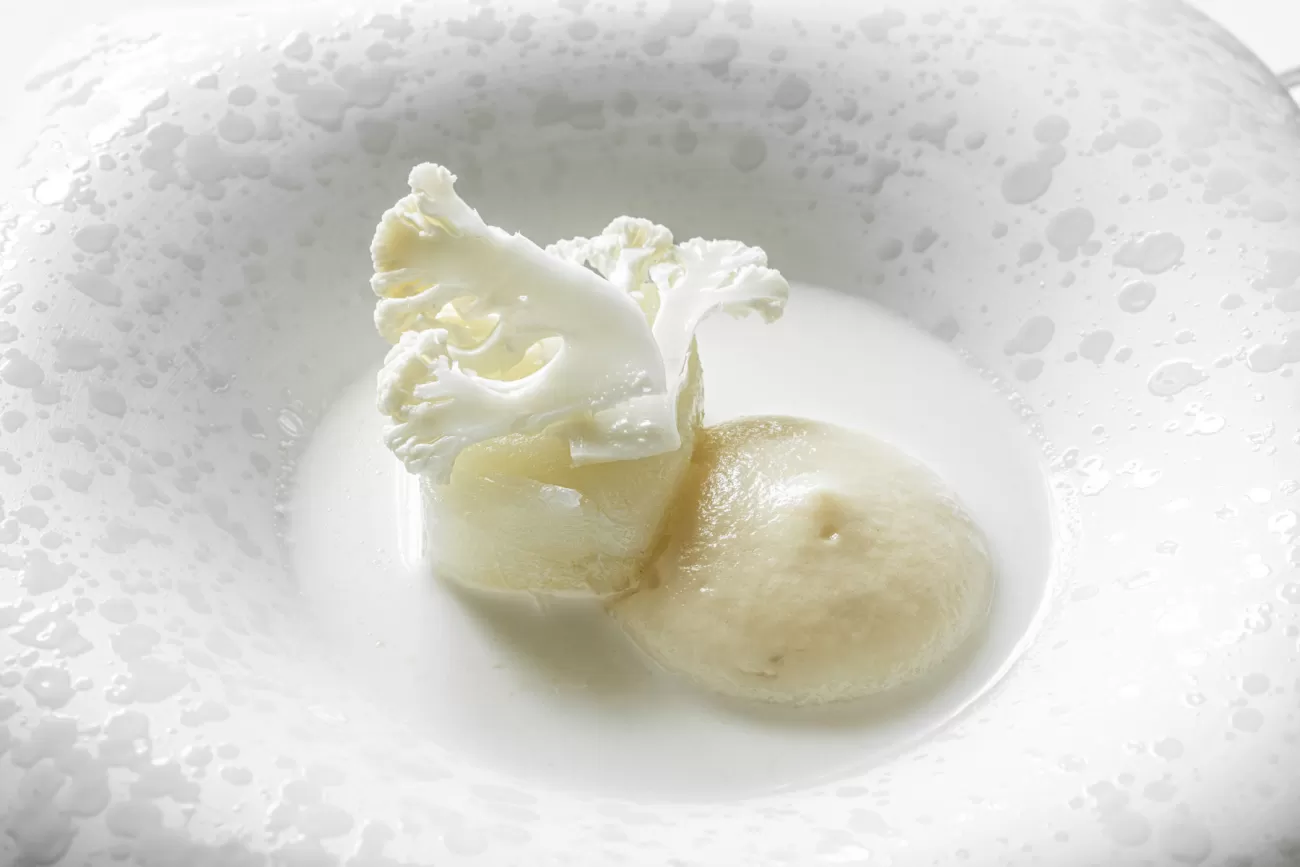 Food Photography