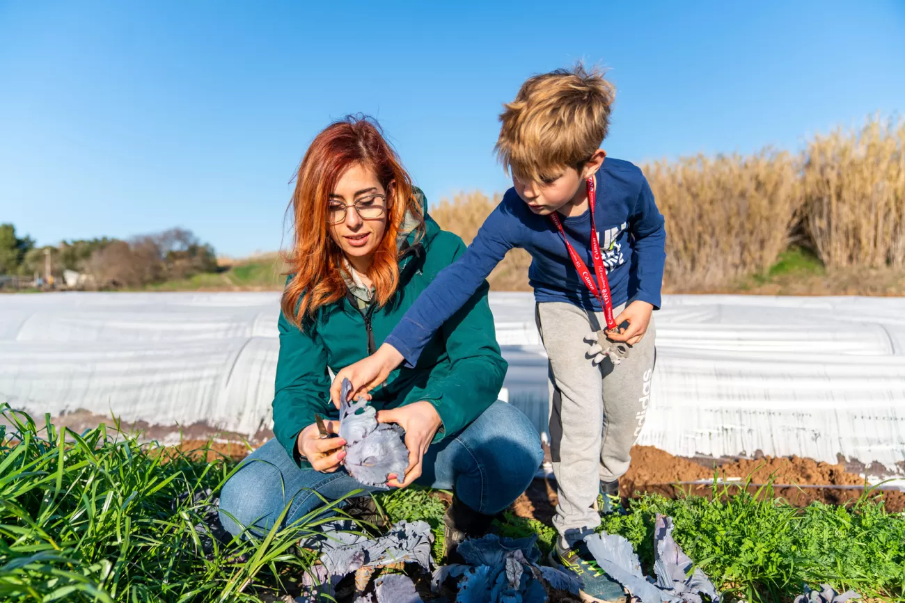 Giulia coglie un cavolo viola con l’aiuto di un bambino curioso
