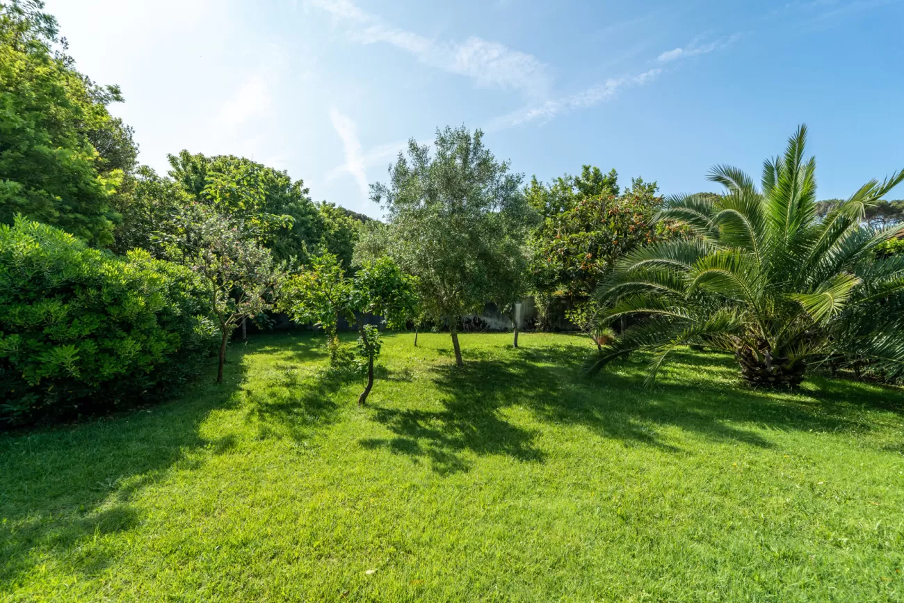 Real Estate Photography