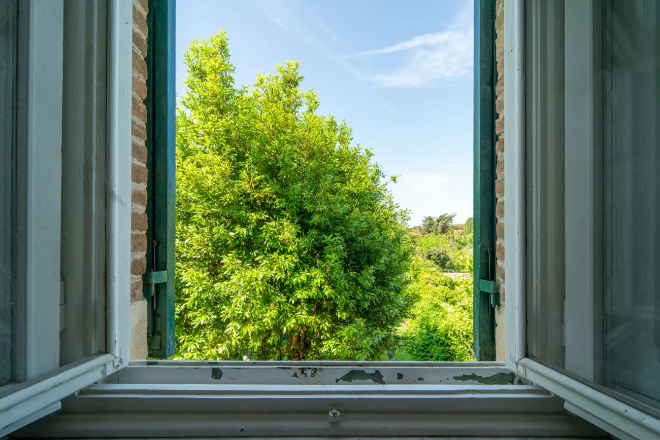 Real Estate Photography