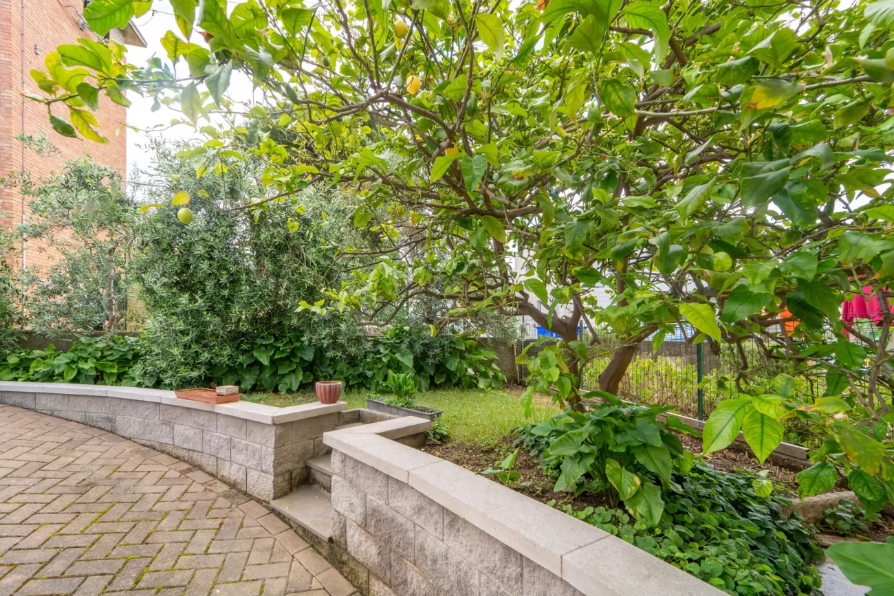 Real Estate Photography