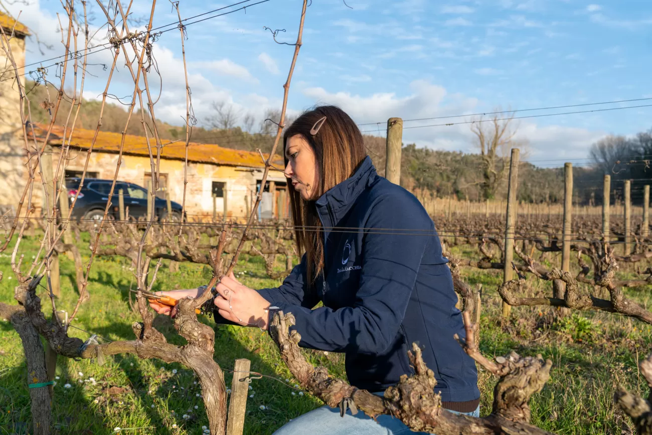 Lavoro stagionale tra i filari – Letizia Martelli durante la potatura