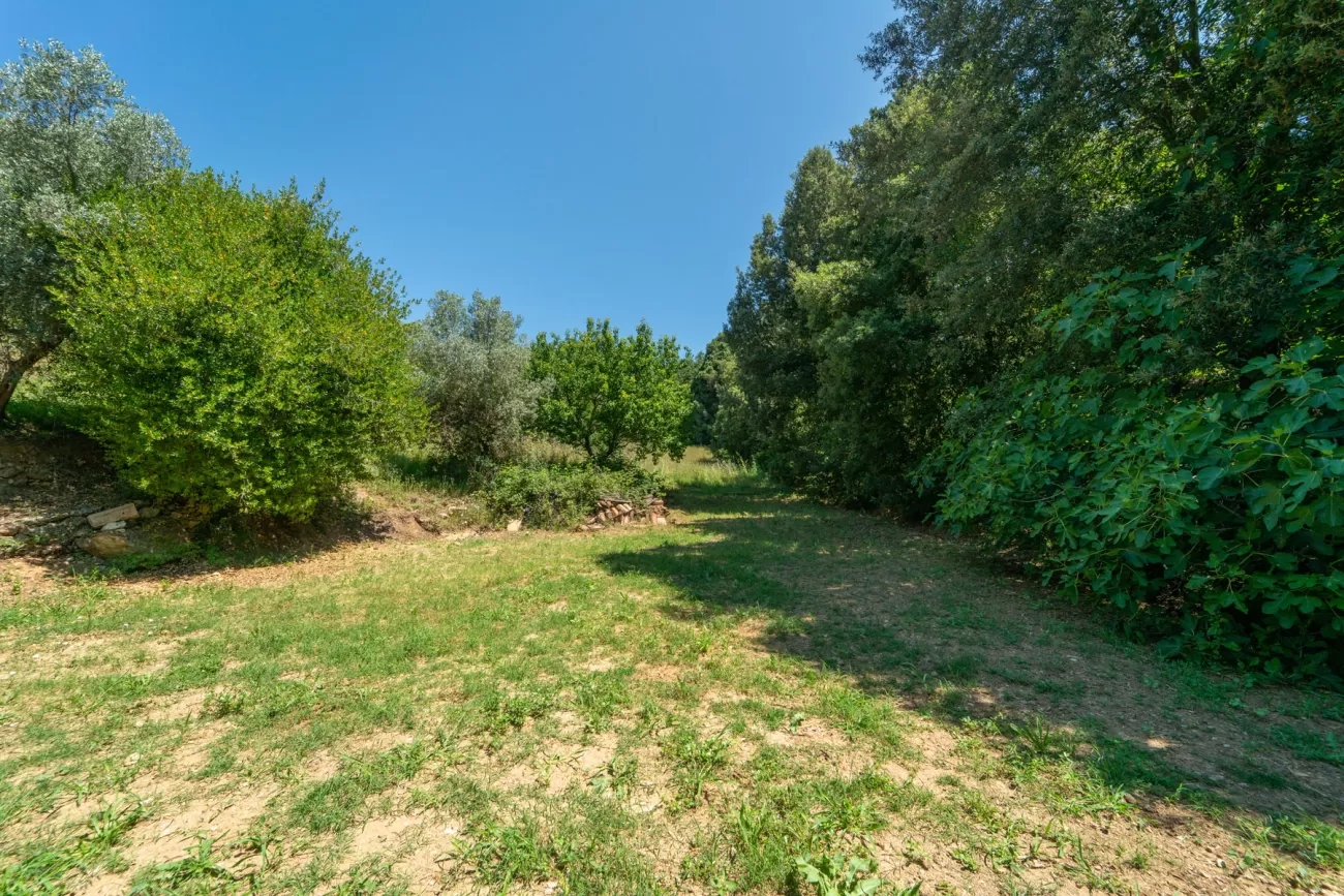 Real Estate Photography