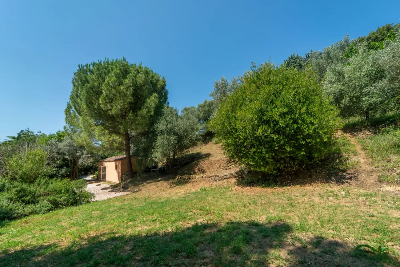 Real Estate Photography