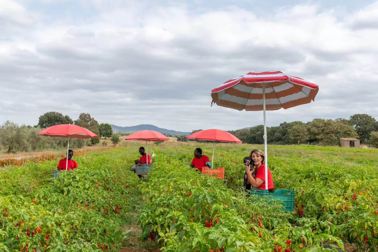 Progetto aziendale - Corporate photography