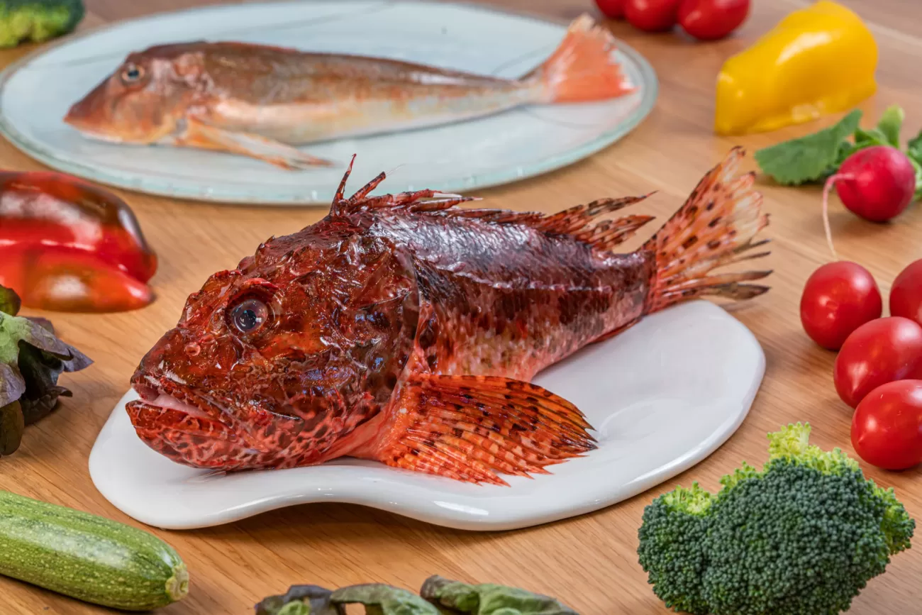 Scorfano fresco in composizione fotografica con verdure di stagione – food photography per ingredienti ristorante