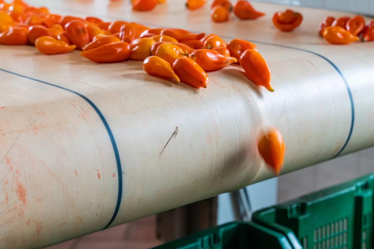 Progetto aziendale - Corporate photography
