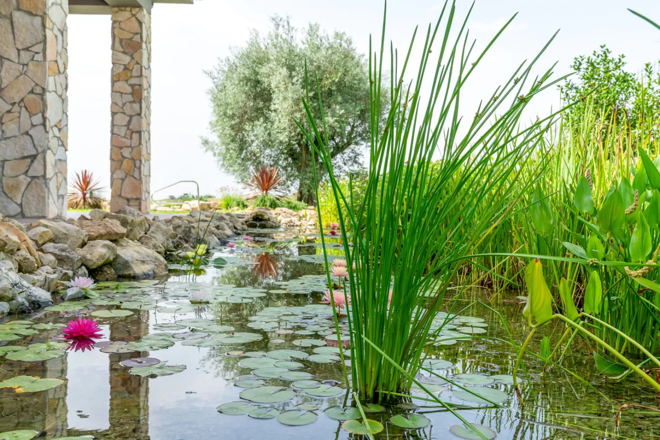 Real Estate Photography