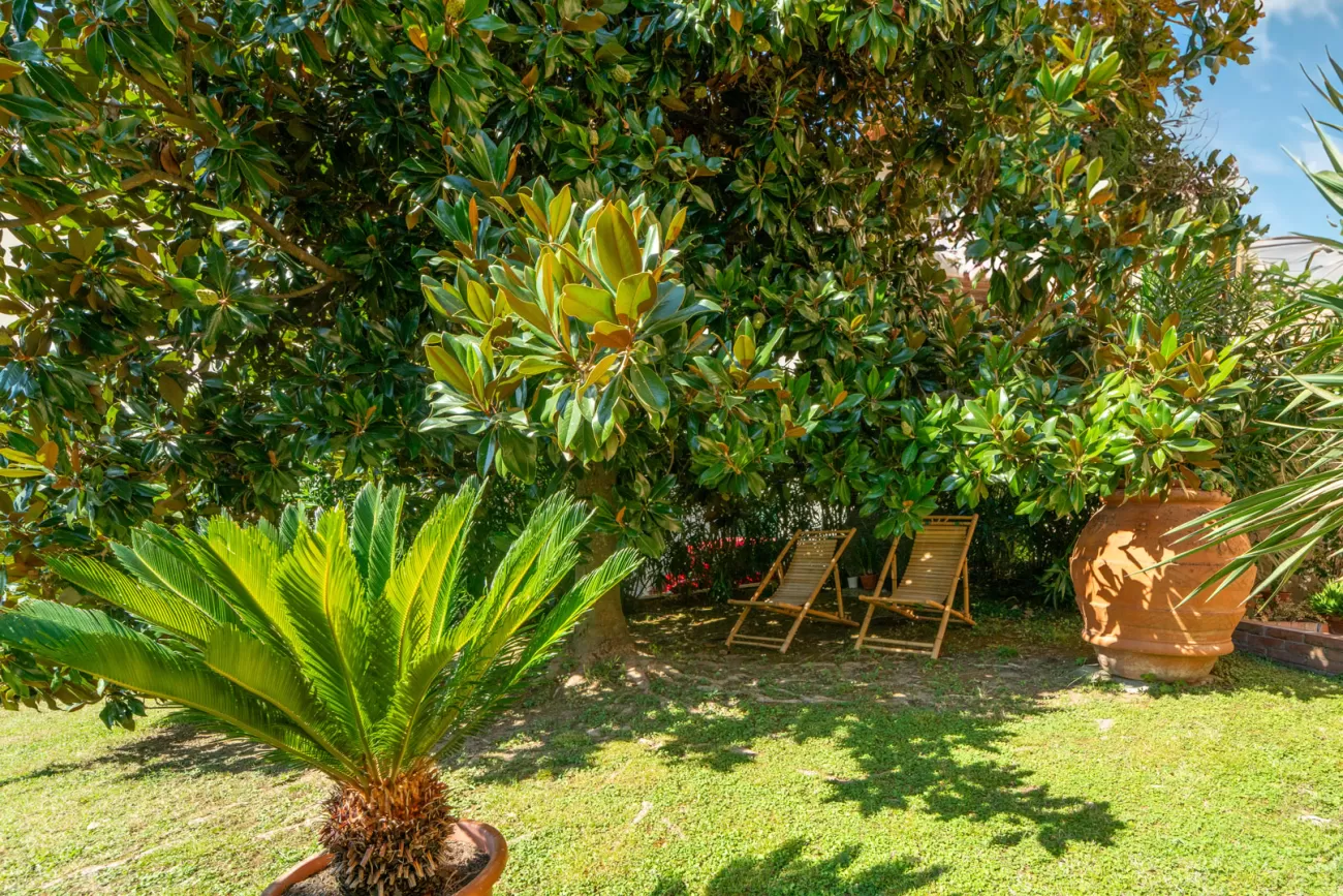 Real Estate Photography