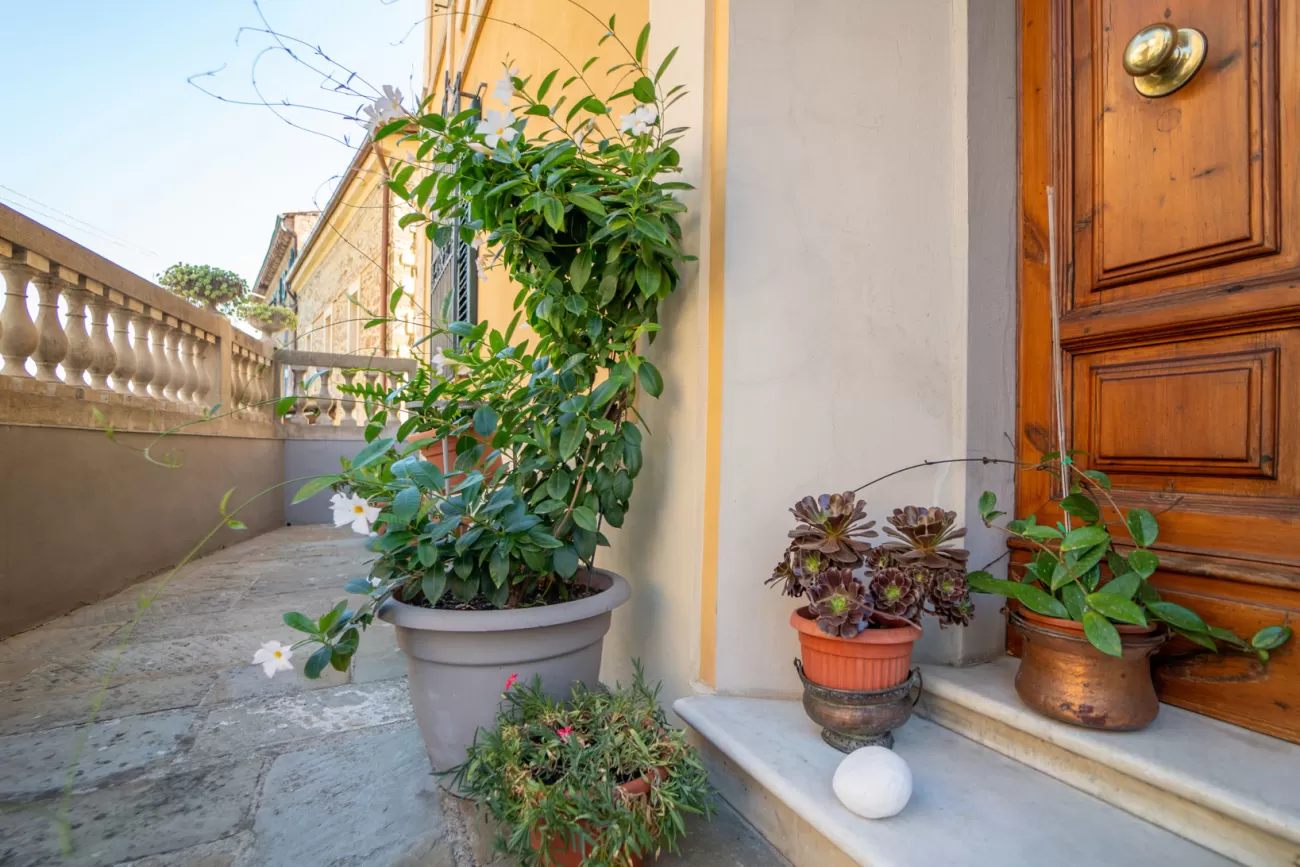 Real Estate Photography