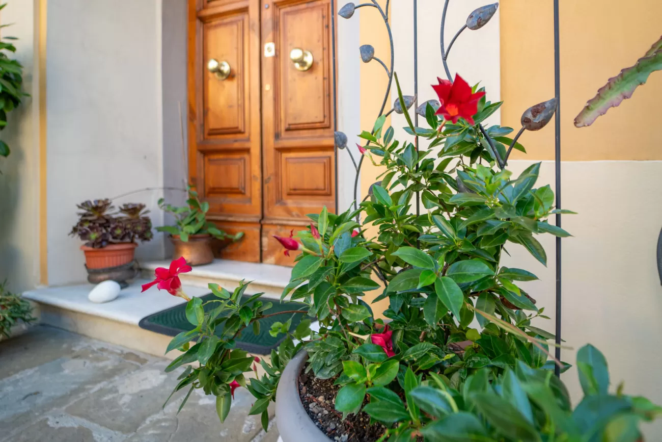Real Estate Photography