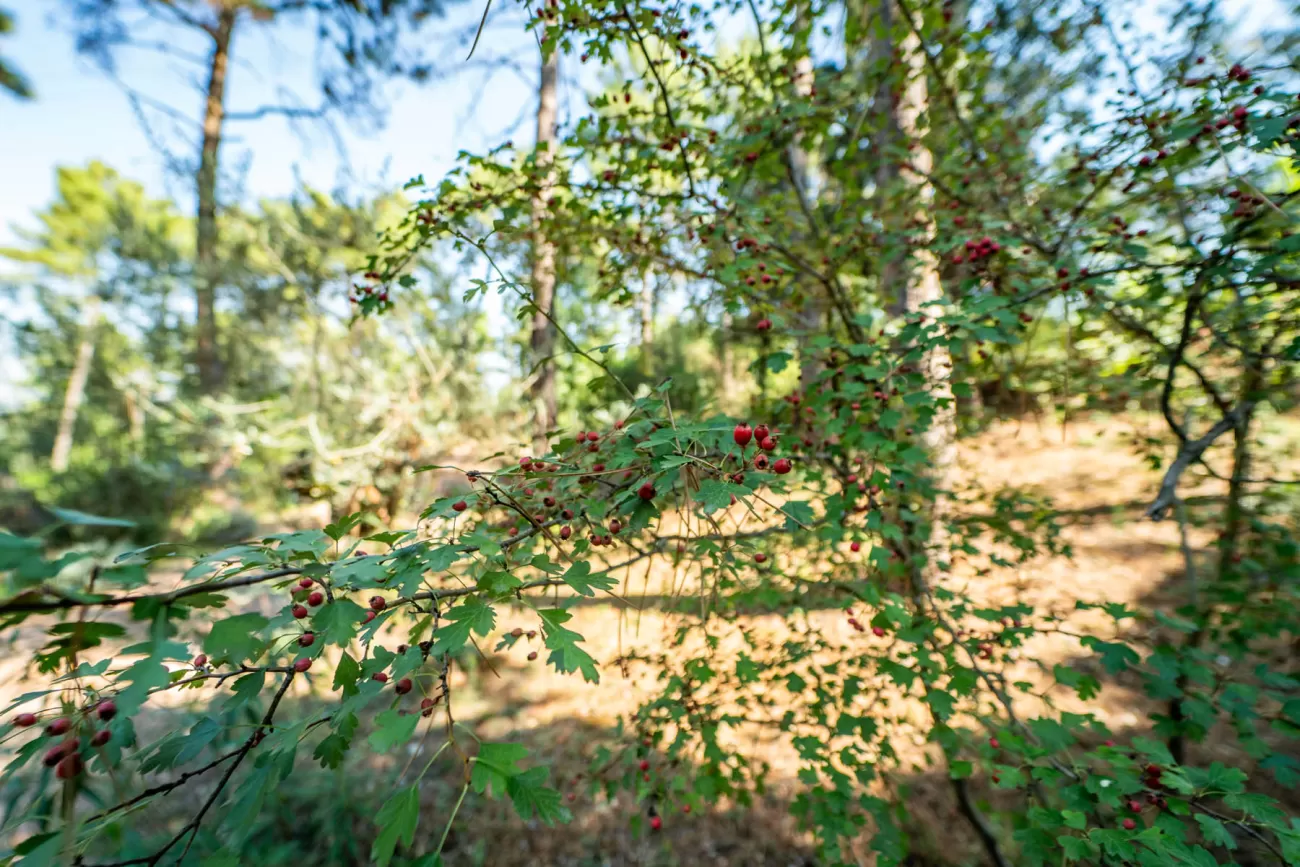 Real Estate Photography