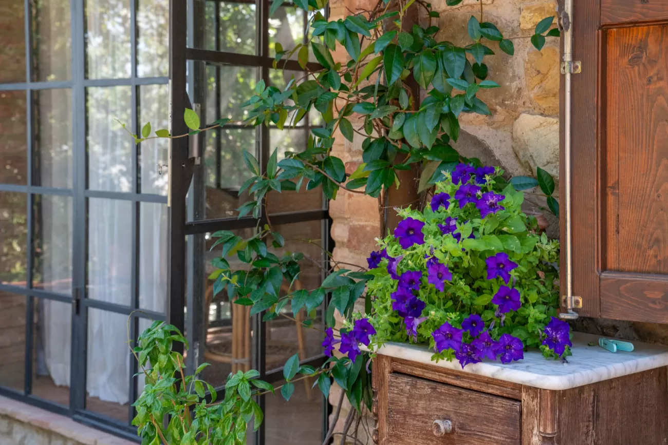 Real Estate Photography