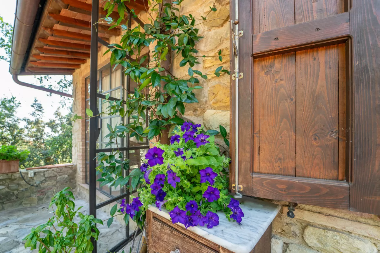 Real Estate Photography