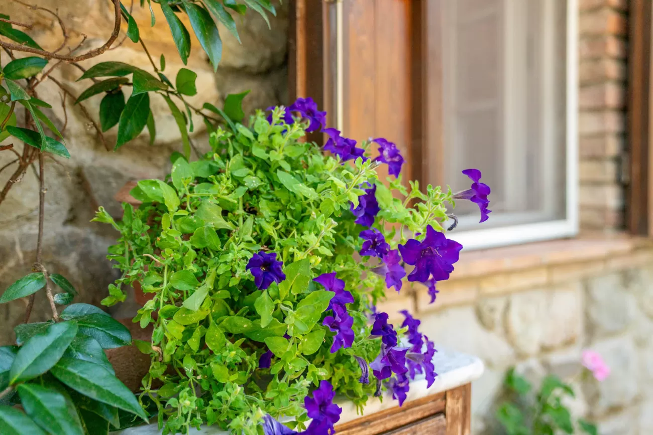 Real Estate Photography